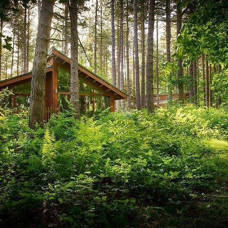 Blackwood Forest Cabins - Forest Holidays Popham Exteriér fotografie