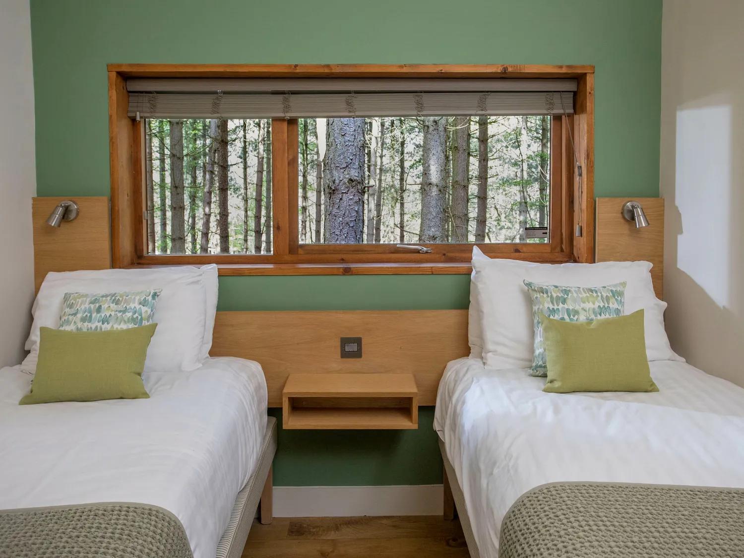 Blackwood Forest Cabins - Forest Holidays Popham Exteriér fotografie