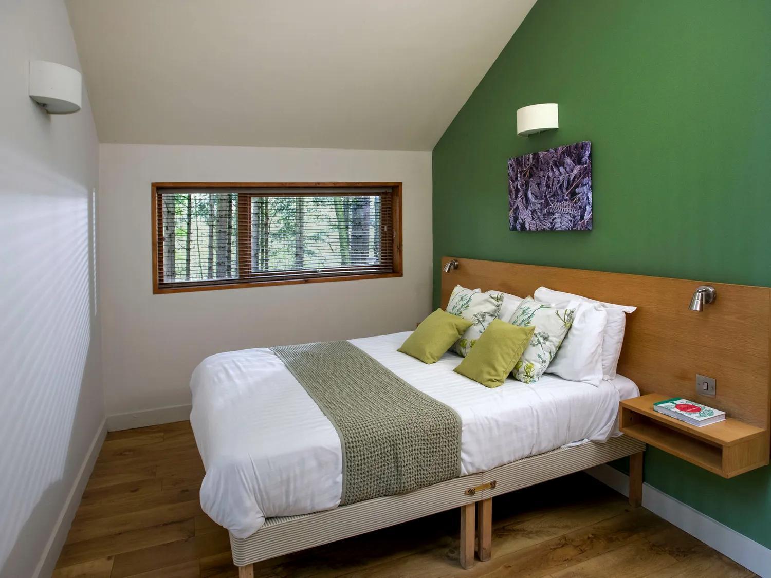 Blackwood Forest Cabins - Forest Holidays Popham Exteriér fotografie