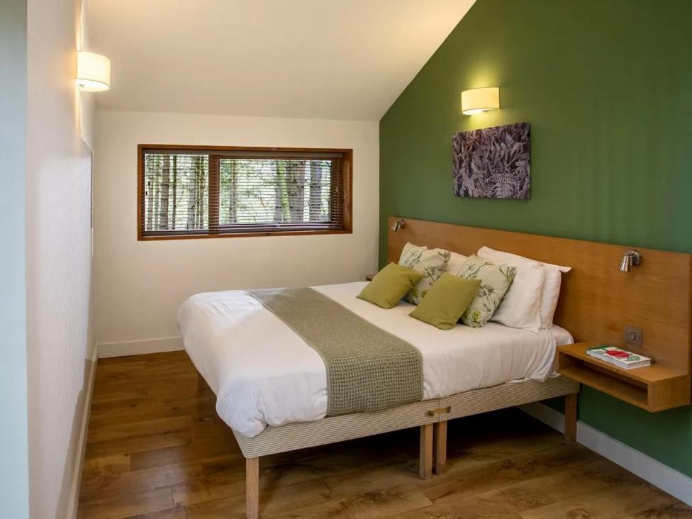 Blackwood Forest Cabins - Forest Holidays Popham Exteriér fotografie