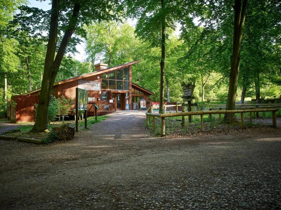 Blackwood Forest Cabins - Forest Holidays Popham Exteriér fotografie