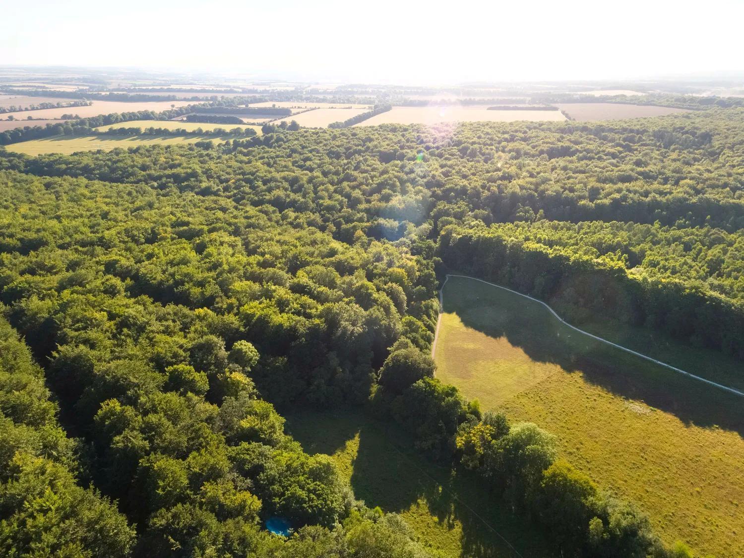 Blackwood Forest Cabins - Forest Holidays Popham Exteriér fotografie