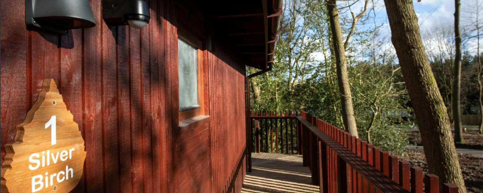 Blackwood Forest Cabins - Forest Holidays Popham Exteriér fotografie